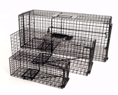 Picture of Black Cage Traps 3 sizes